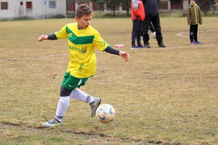 DB电竞官网入口-波兰乒乓球队爆冷日本乒乓球队,樊振东送出助攻