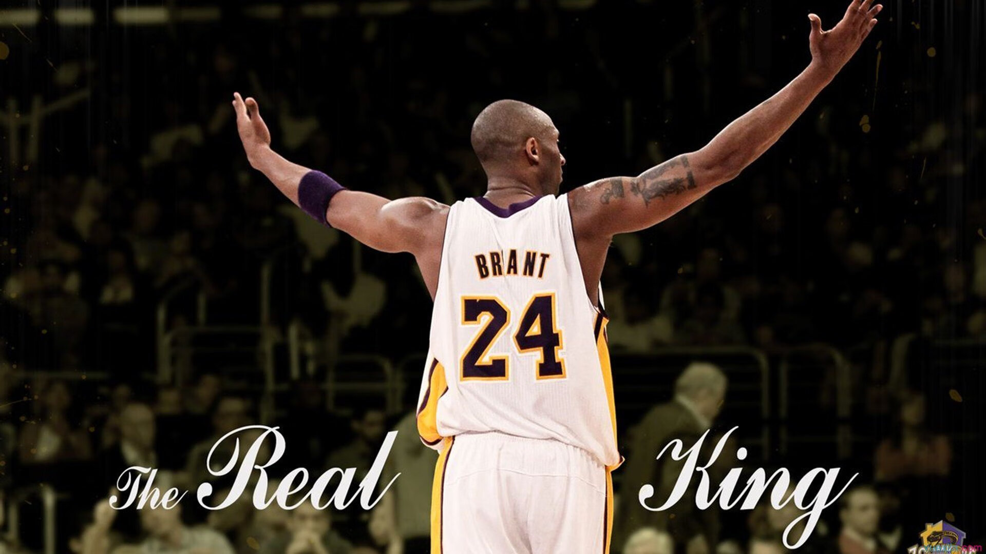 DBGame-布克成为胜负手，浙江队提前终结悬念山西队